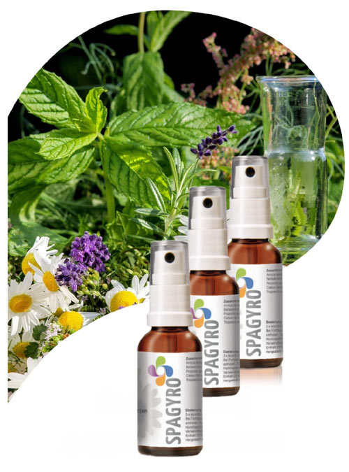 Pflanzliche Essenzen in kleinen Flaschen für die Spagyrik